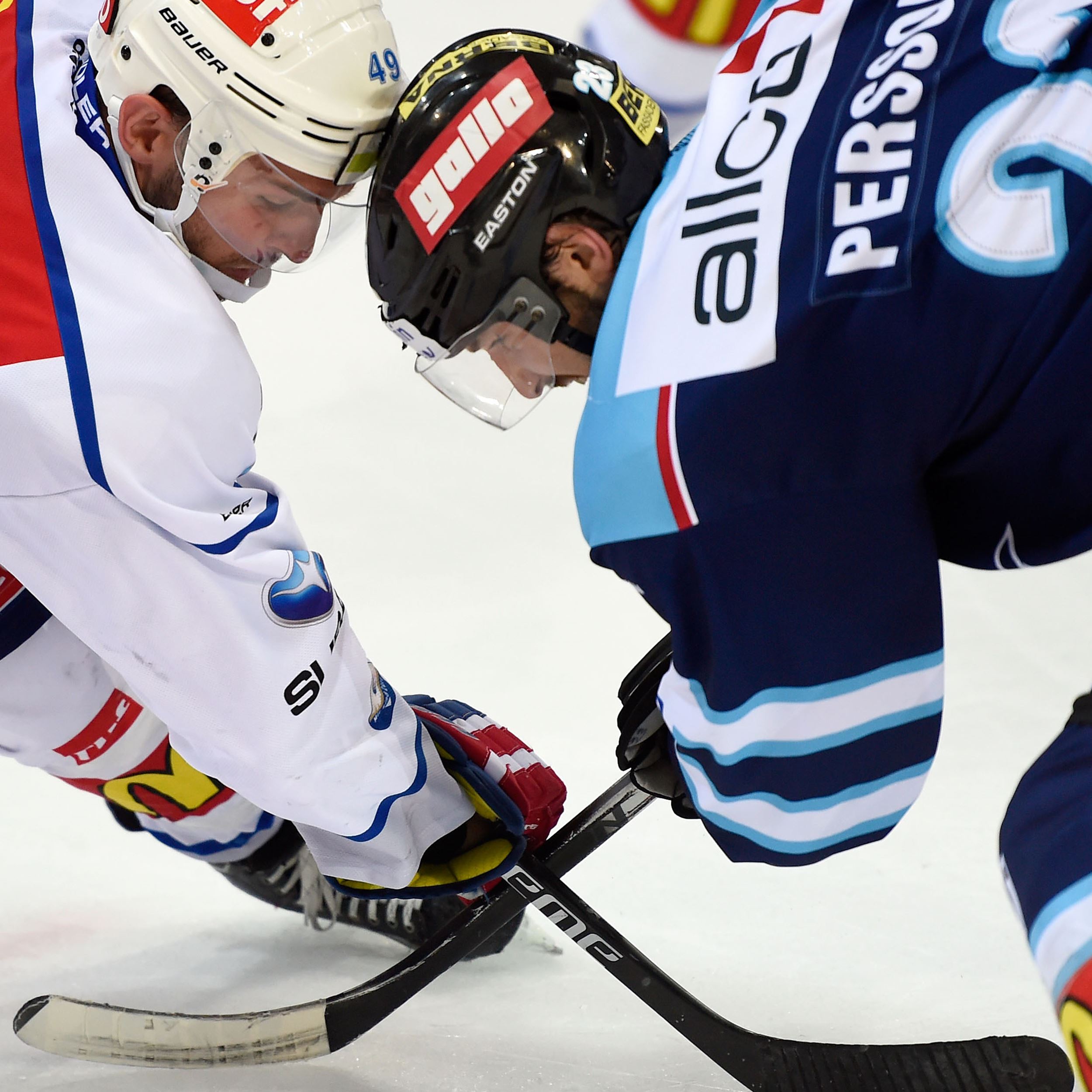 FRESHFOCUS_484039.jpg FRESHFOCUS_484039.jpg