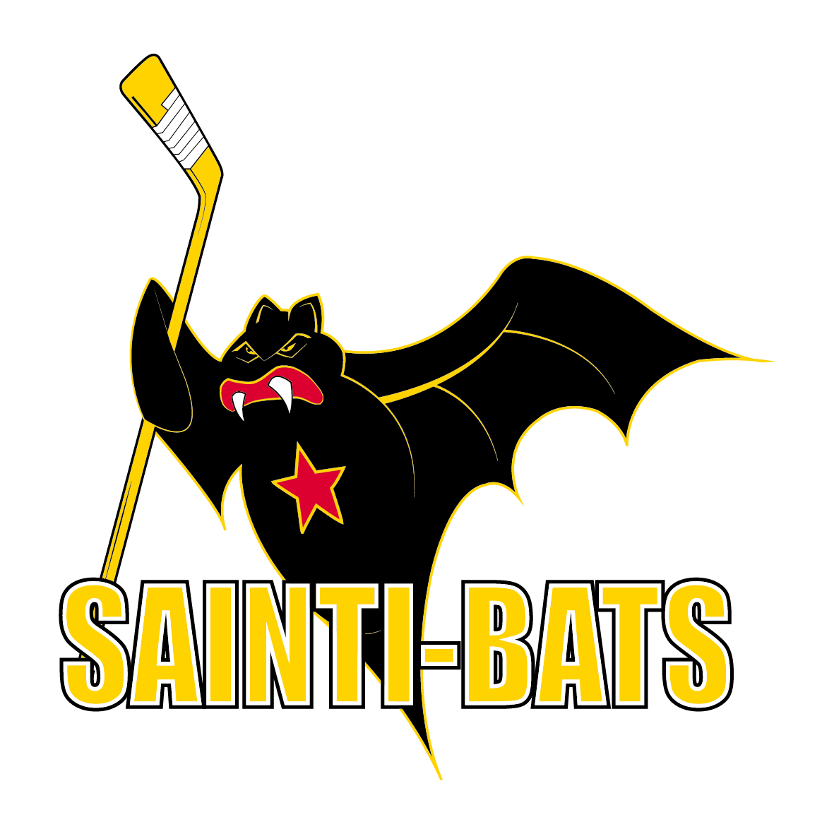 HC Saint-Imier