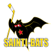 HC Saint-Imier