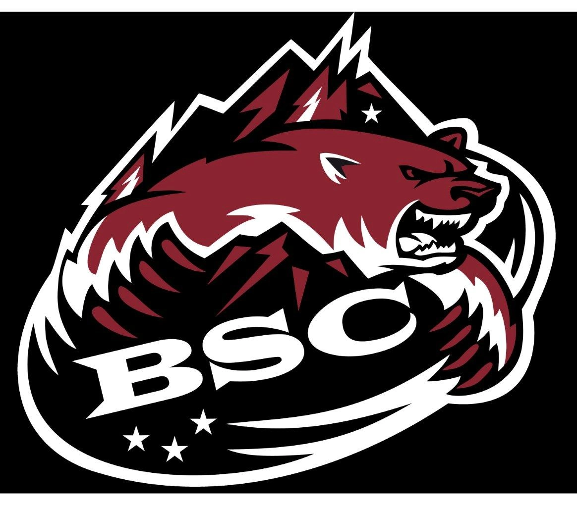 Bäretswiler SC