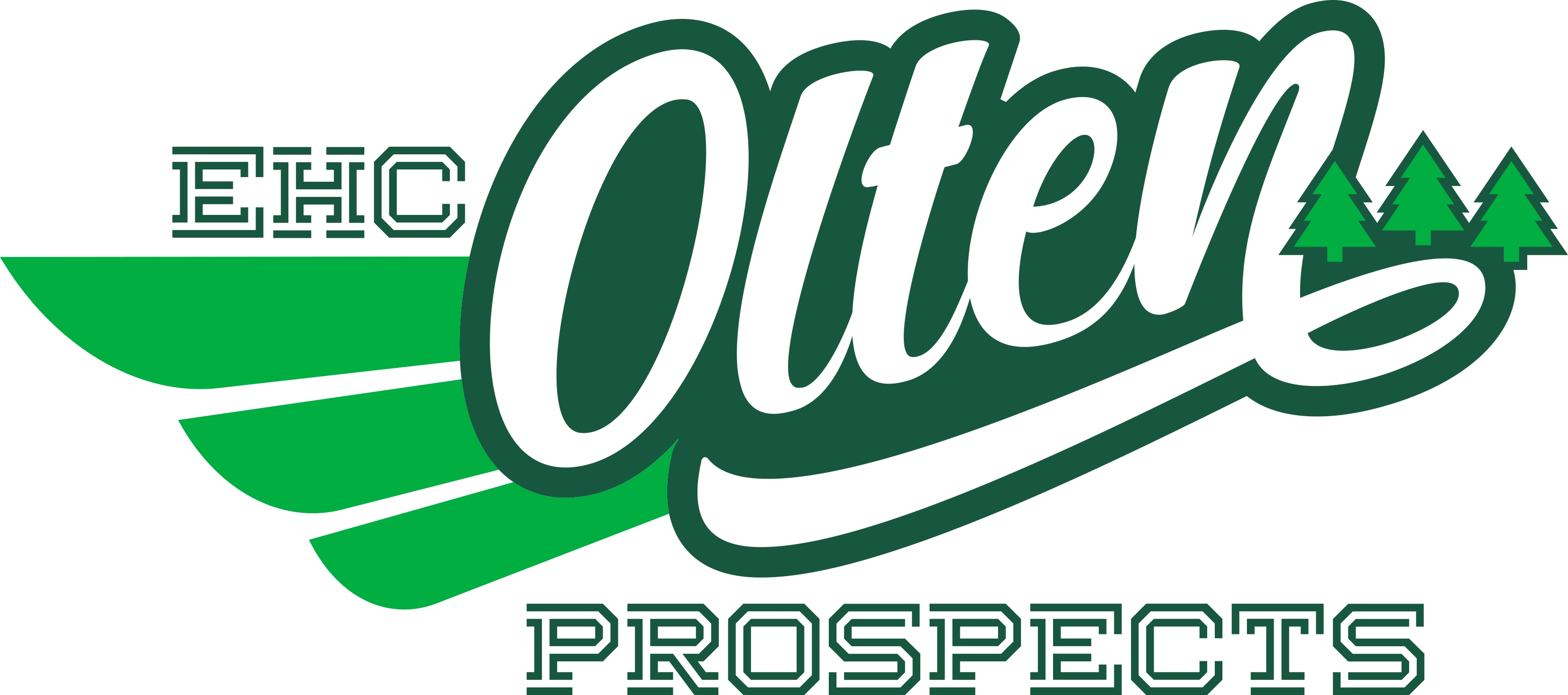 EHC Olten Prospect AG
