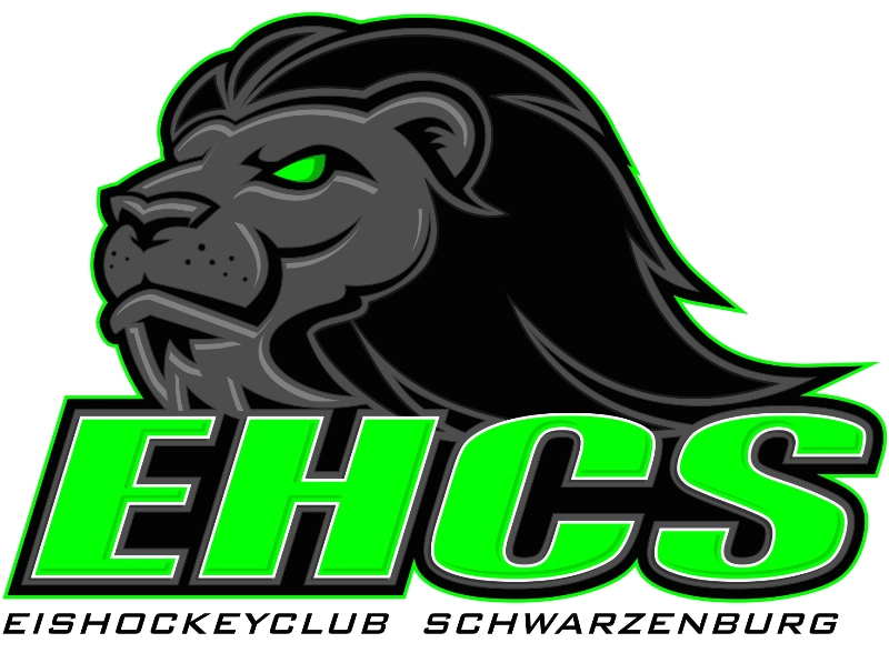 HC Martigny II