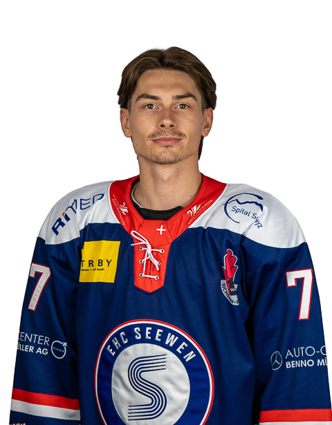 Yannick Capaul