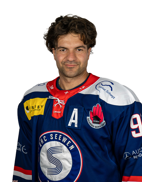 Steiner Sandro