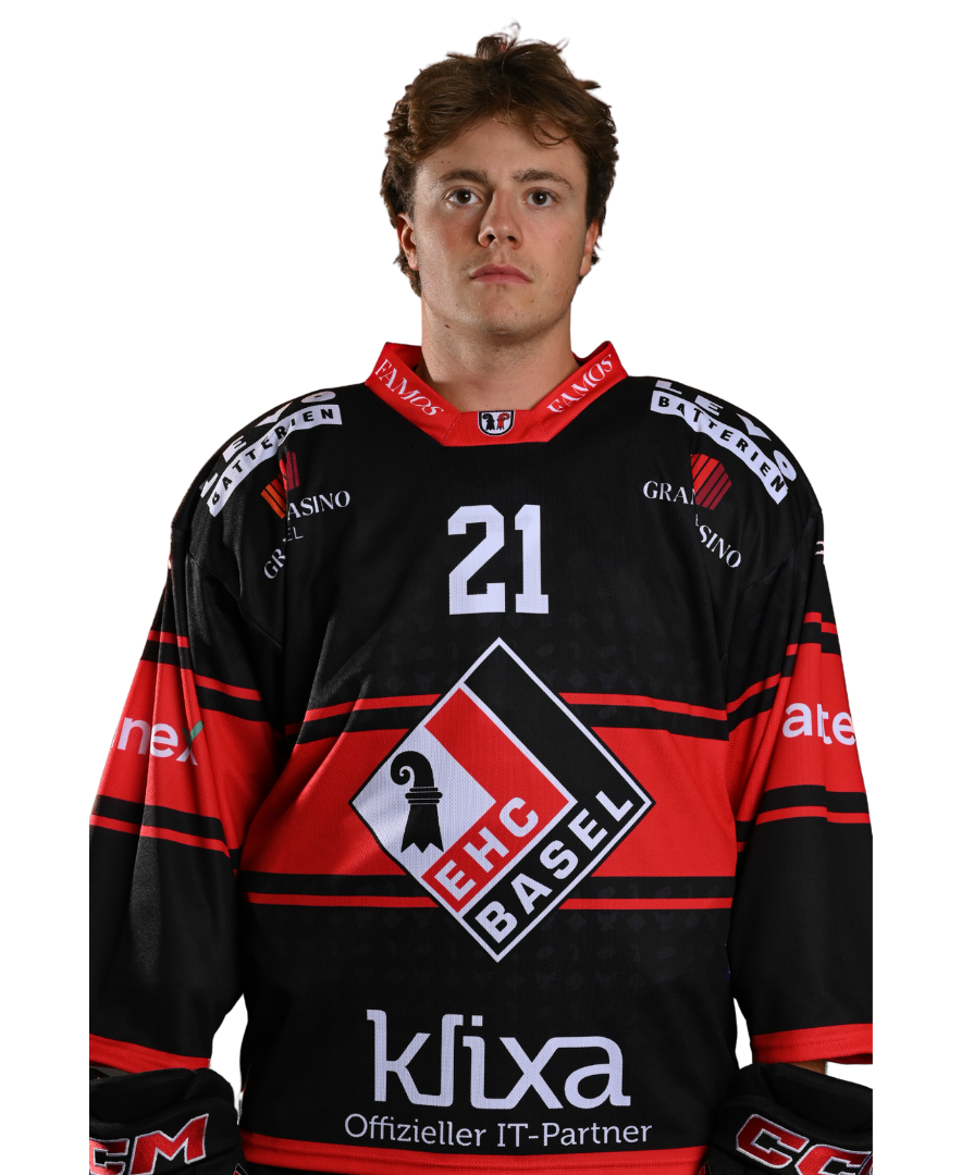 David Hamr