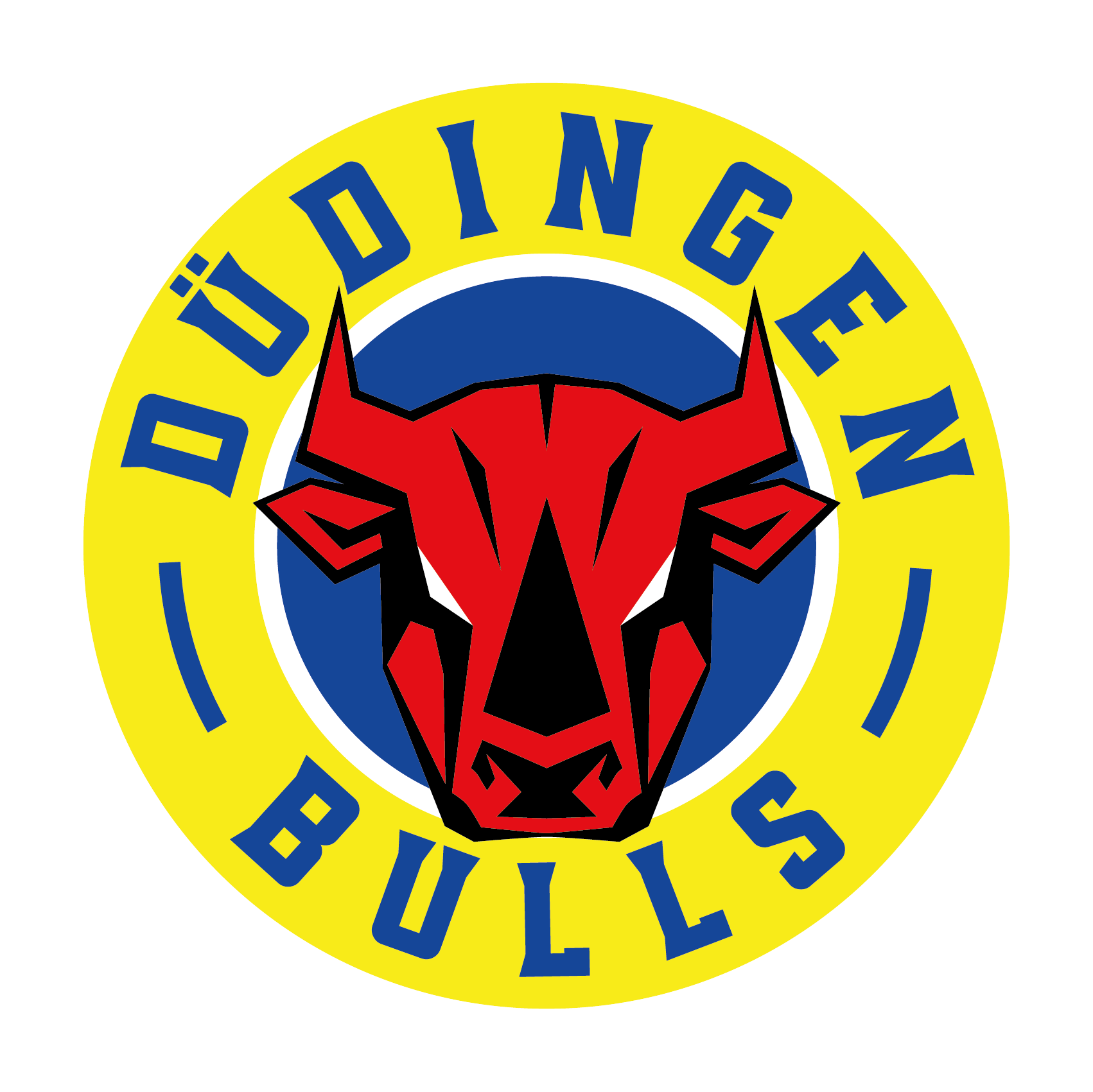 HC Düdingen Bulls