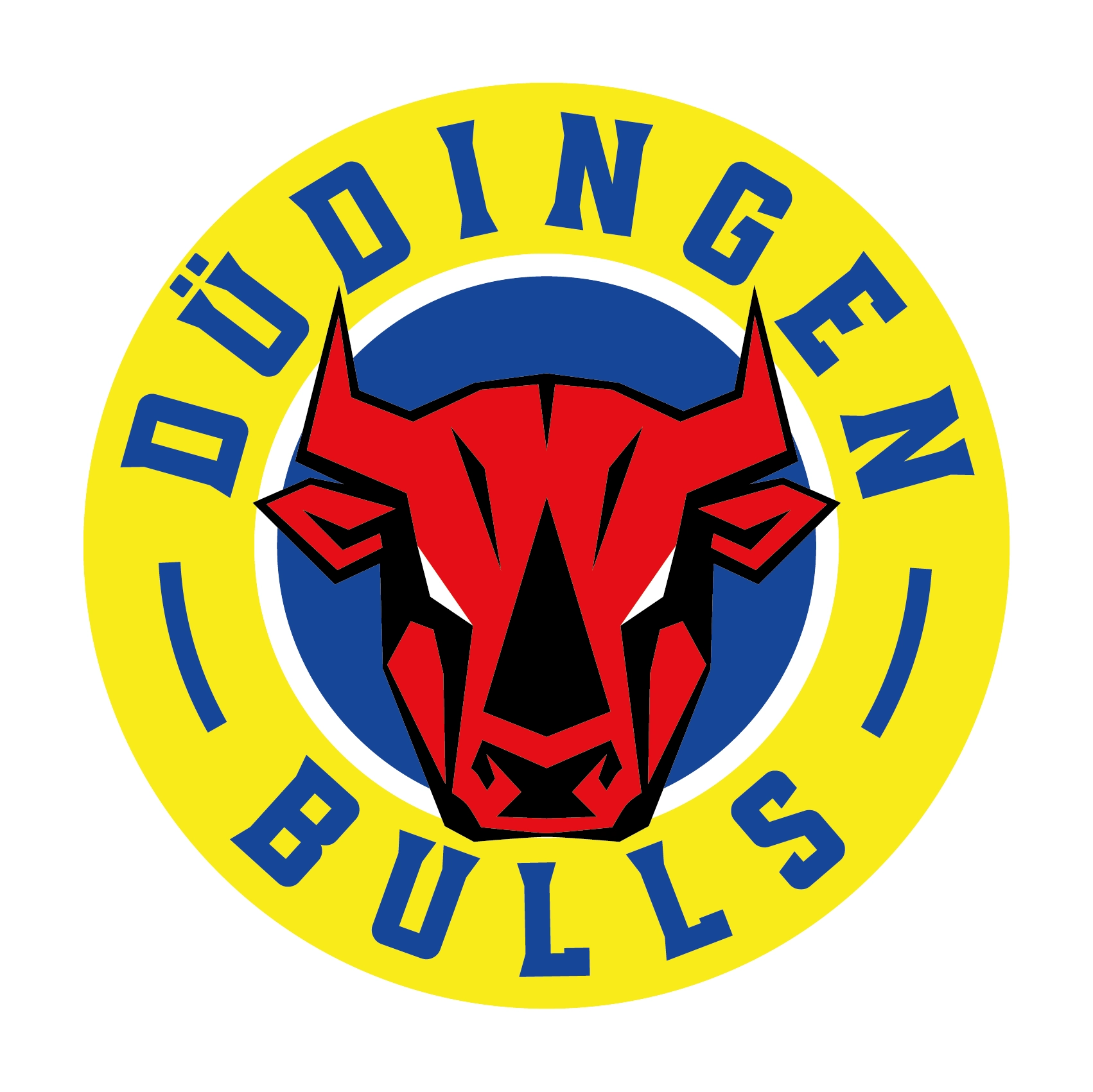 HC Düdingen Bulls