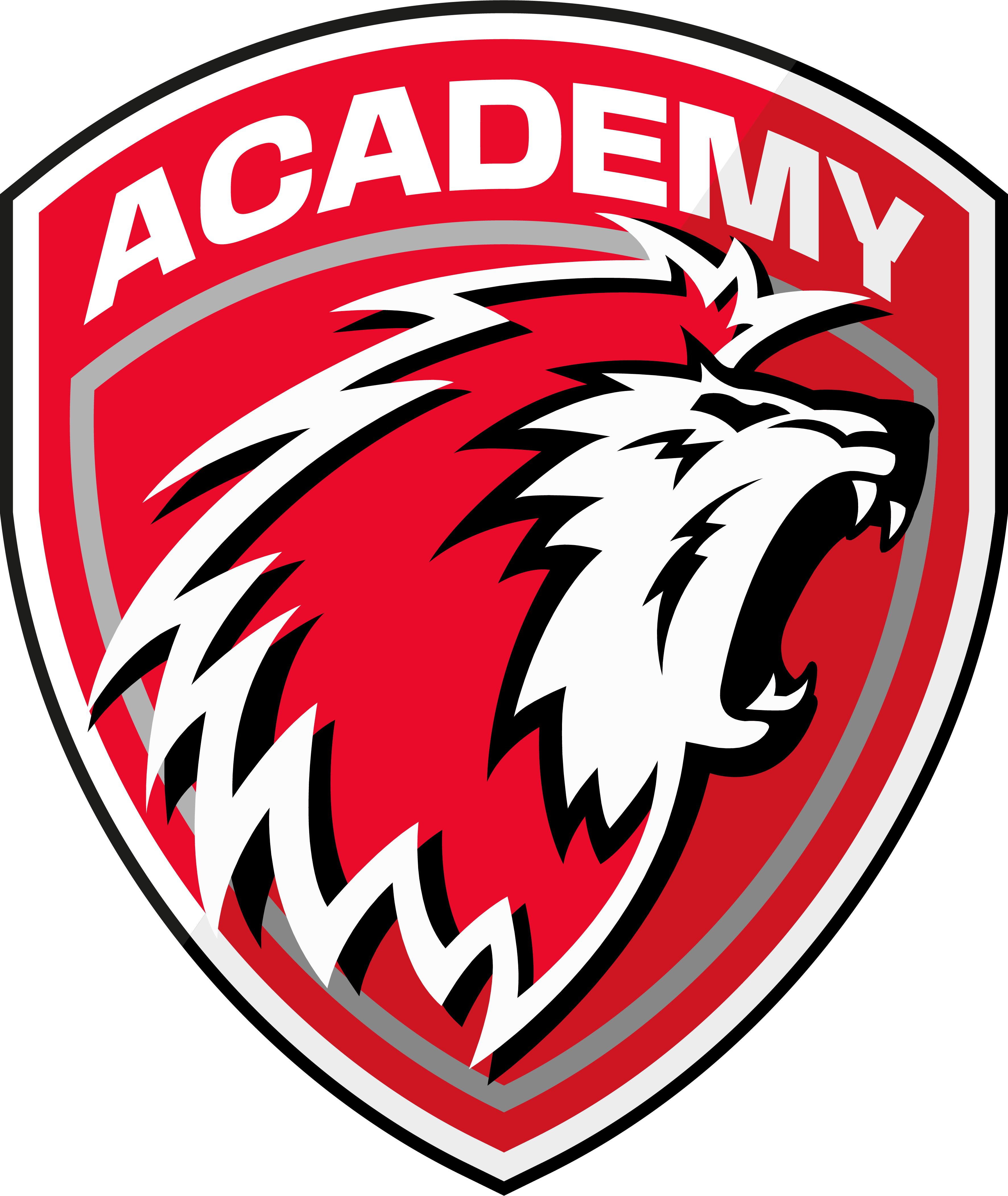 LHC Academy
