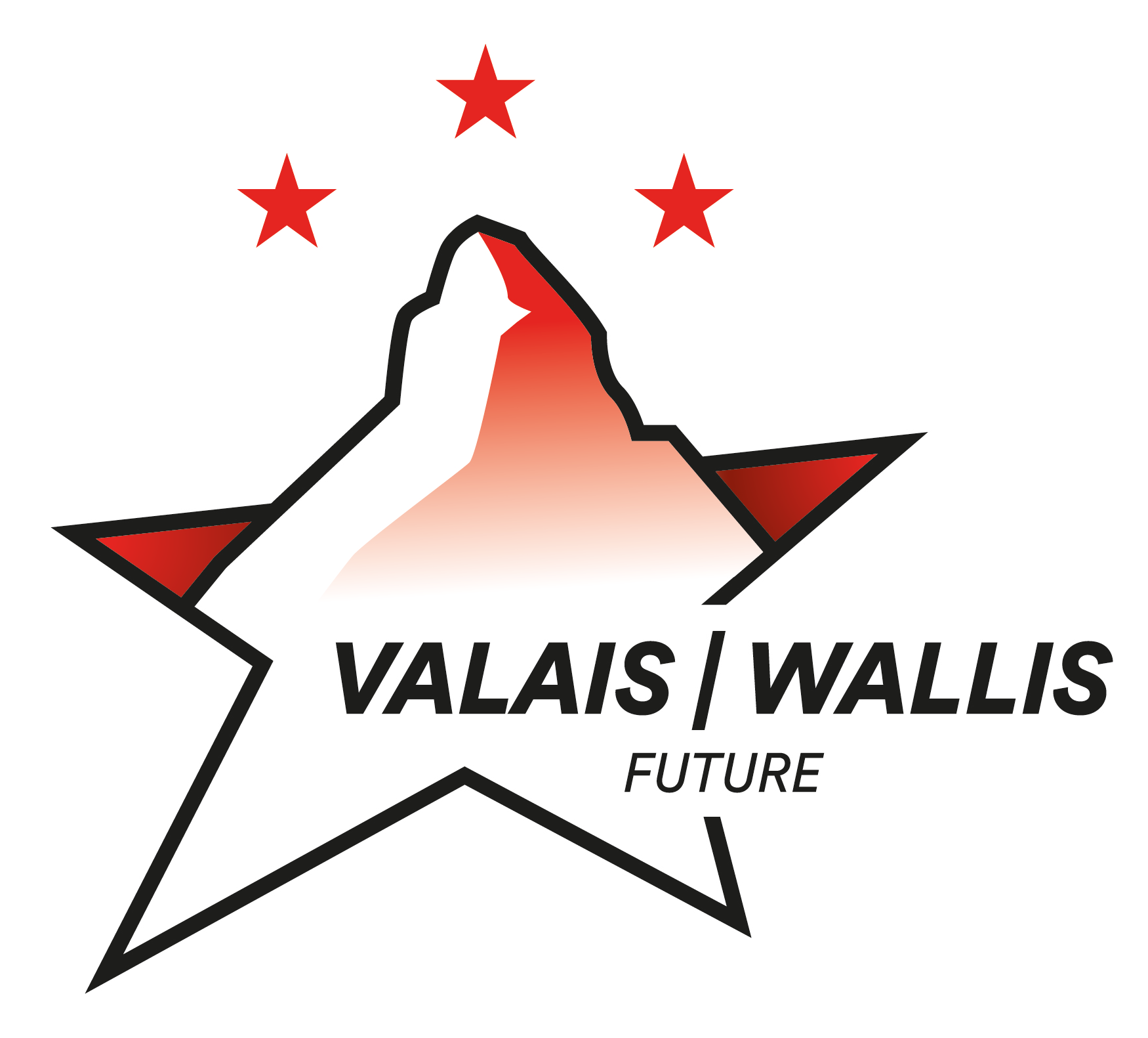EHC Visp Lions
