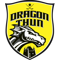 HC Dragon Thun gelb