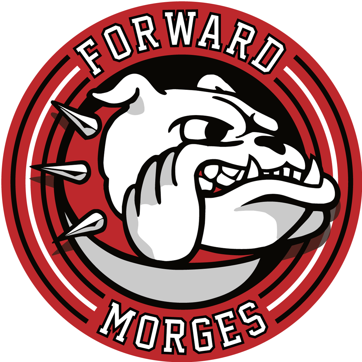 LHC Academy-Morges
