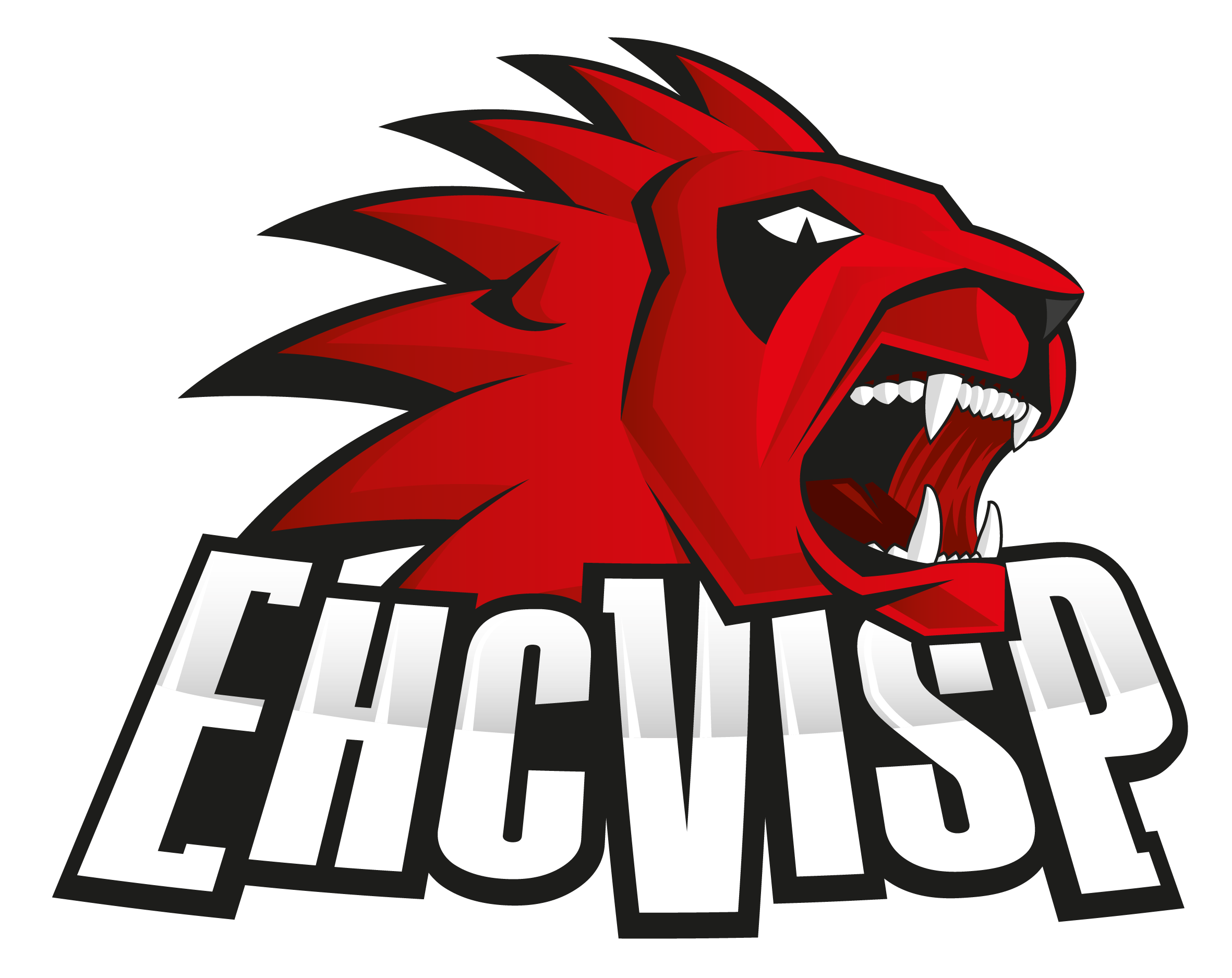 EHC Visp Lions