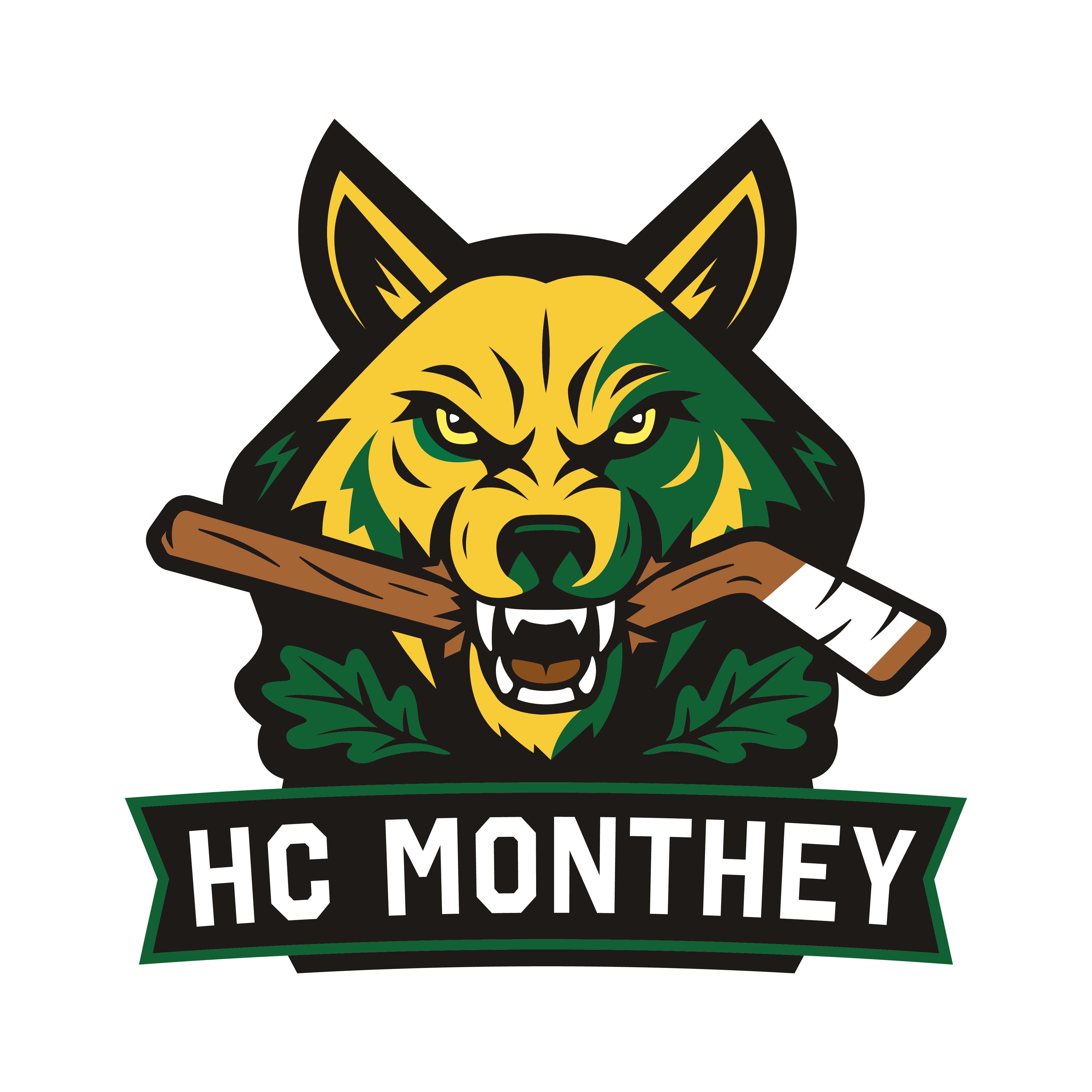 HC Monthey