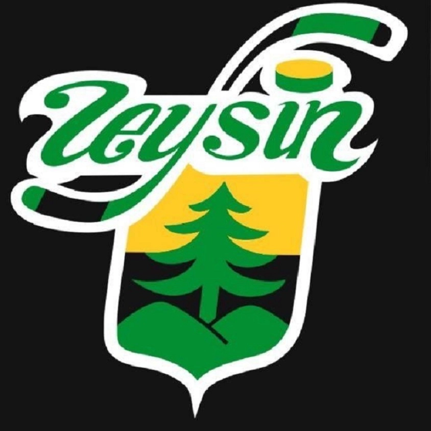 HC Leysin u12-2