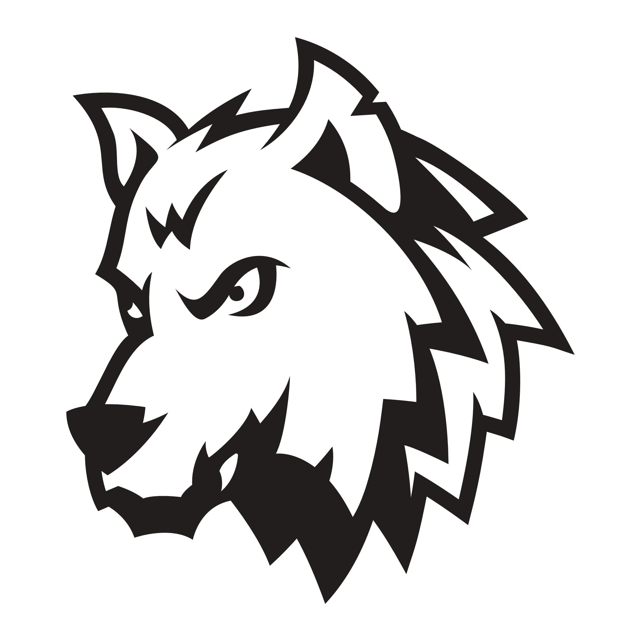EHC Züri Wolves