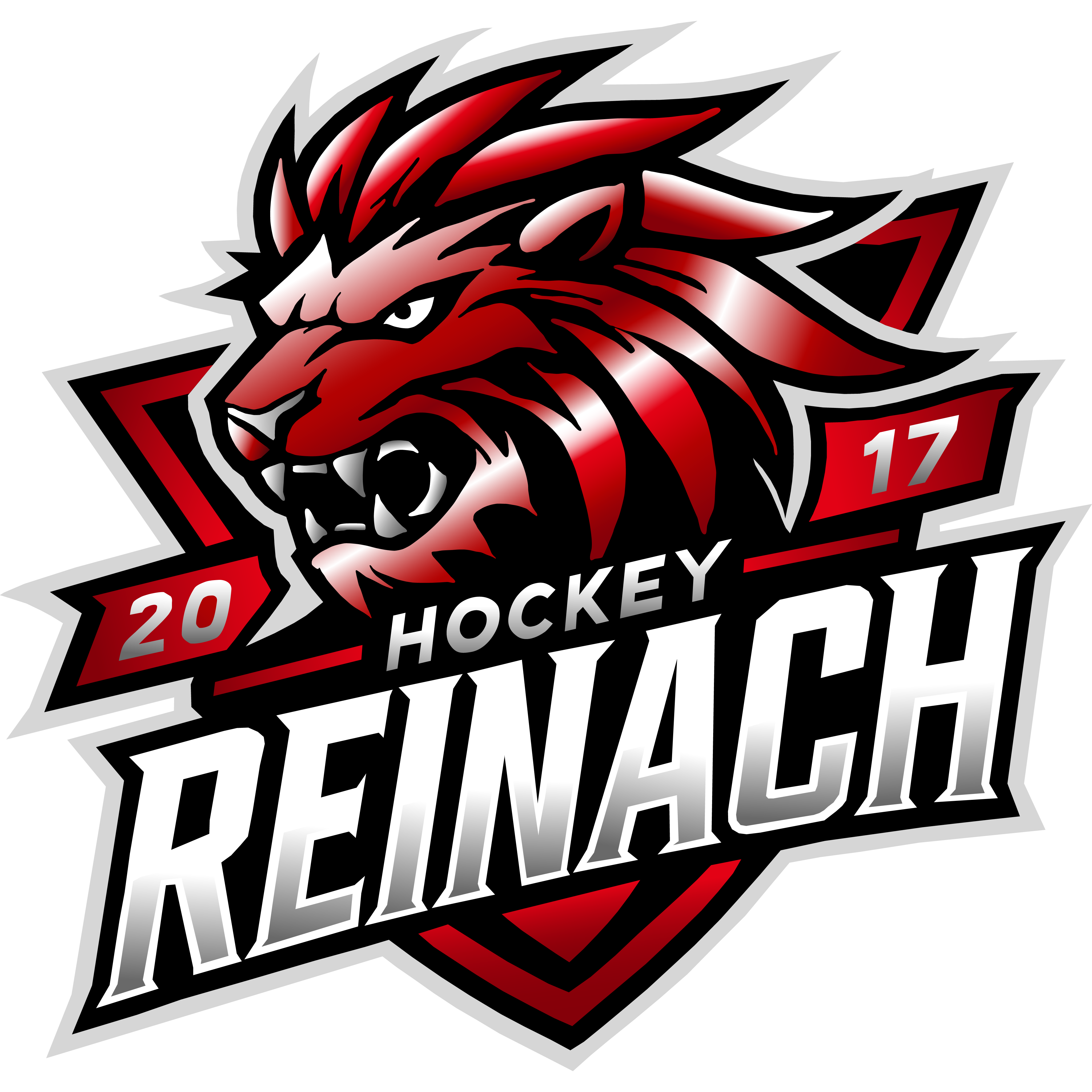 Hockey Reinach
