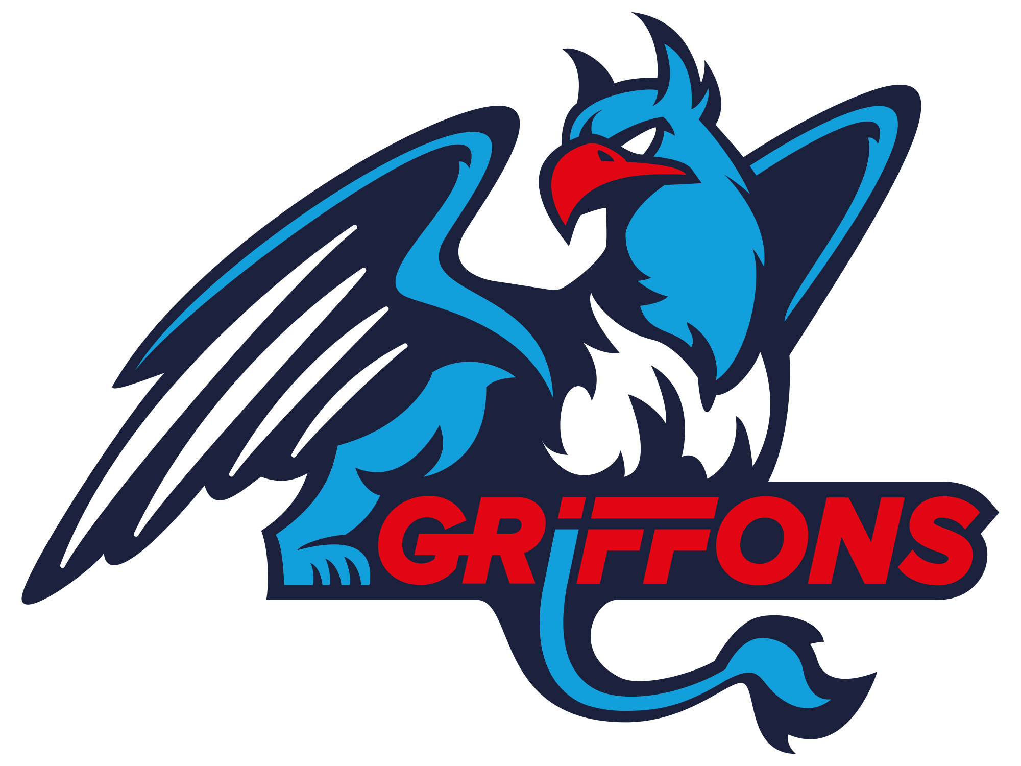HC Les Griffons 4