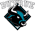 SC Butrue Bulls