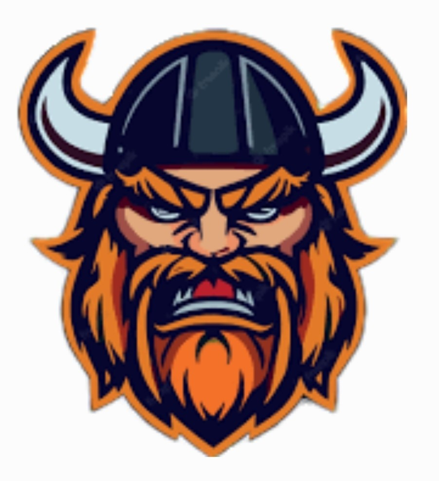 Fribourg Vikings