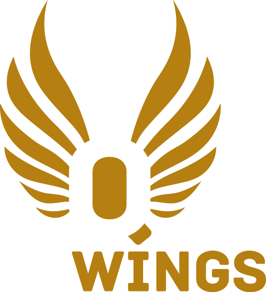 Q Wings