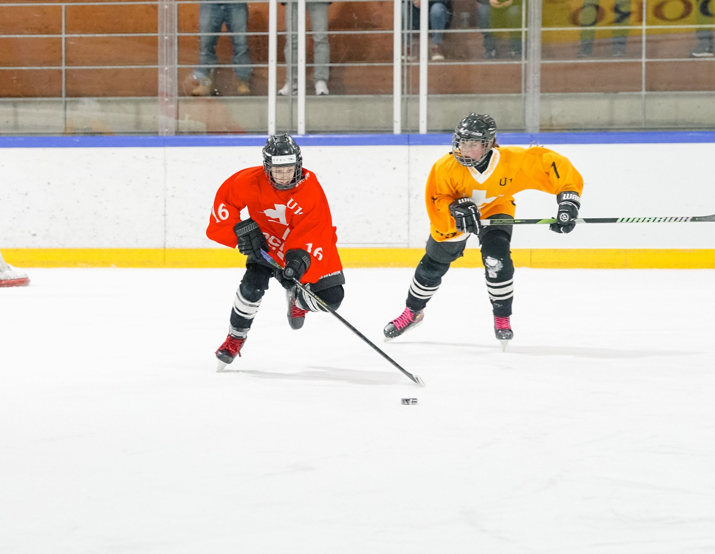 C4757.MP4.12_10_36_18.Standbild002.jpg C4757.MP4.12_10_36_18.Standbild002.jpg